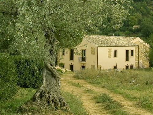Trigona * Piazza Armerina