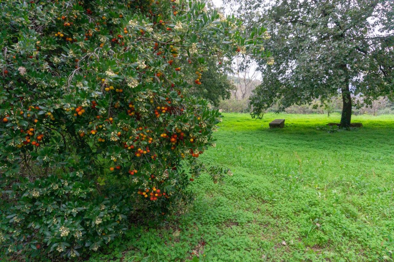 Country house Trigona Piazza Armerina