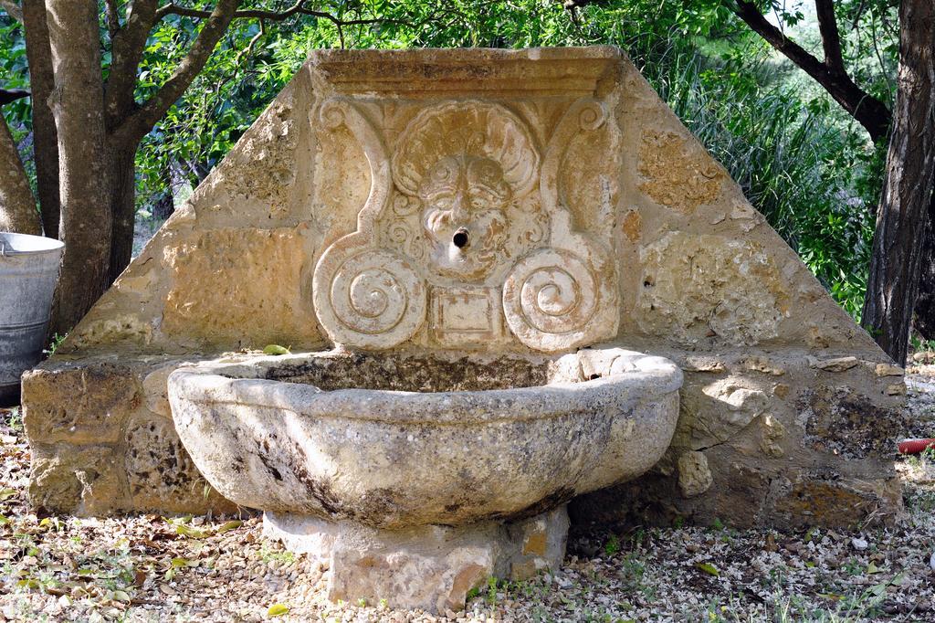 Trigona Casa de Campo *