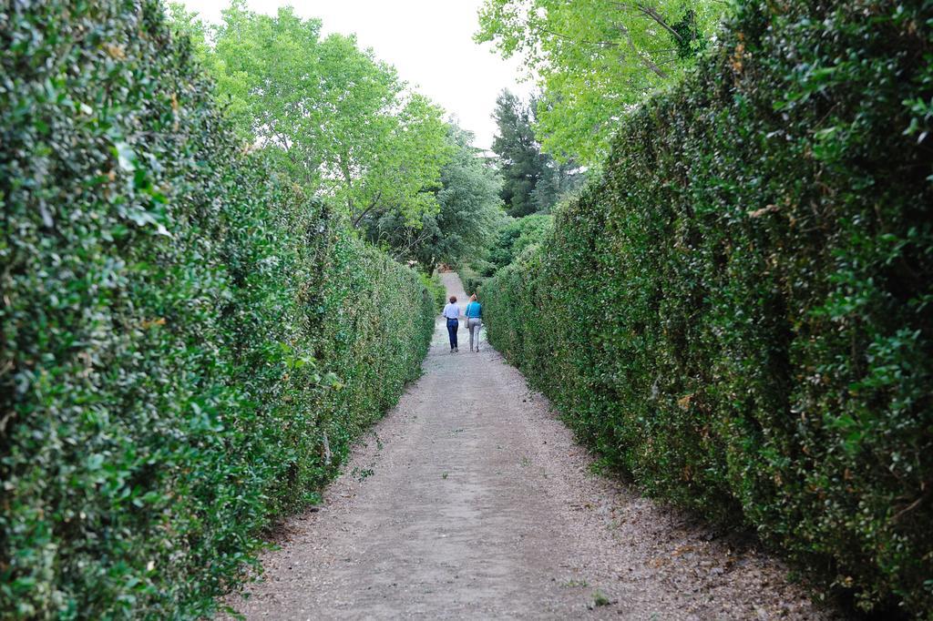 Trigona * Piazza Armerina