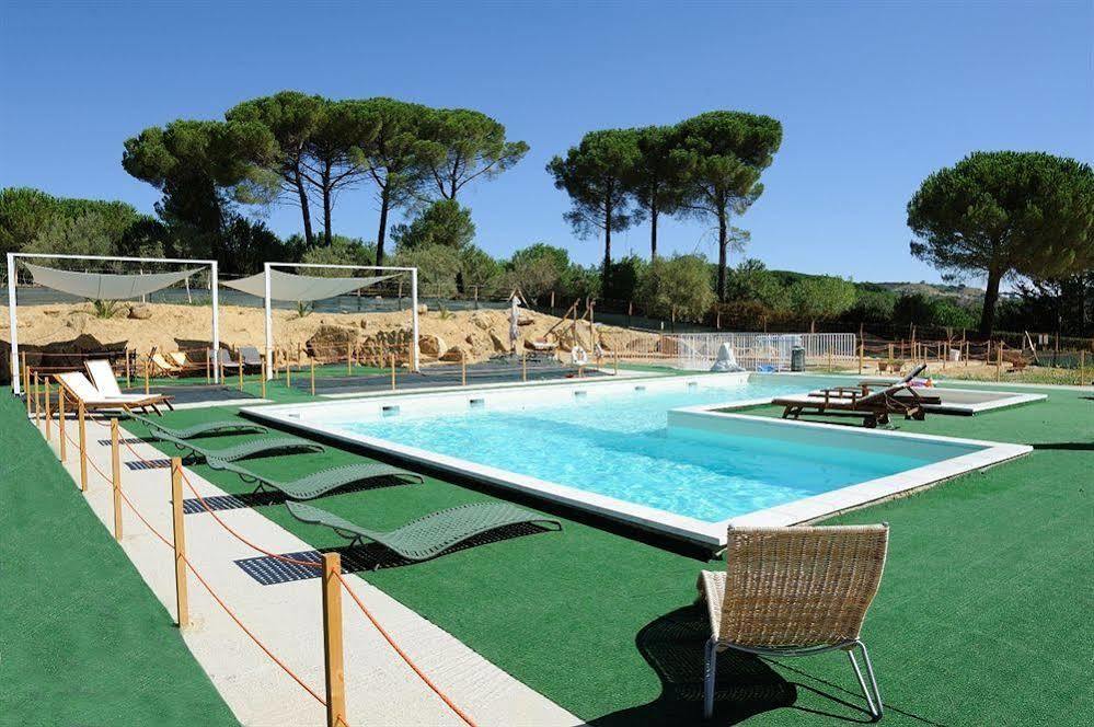 Trigona Piazza Armerina